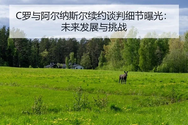 luo-yu-a-er-na-si-er-xu-yue-tan-pan-xi-jie-bao-guang-wei-lai-fa-zhan-yu-tiao-zhan-2-857.jpg